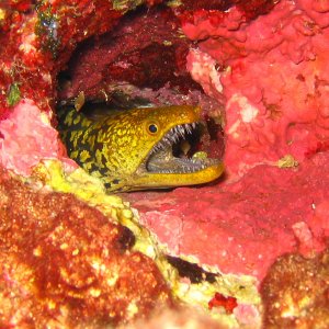 Mittelmeer
